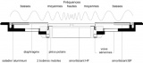 Manger Sound Transducer